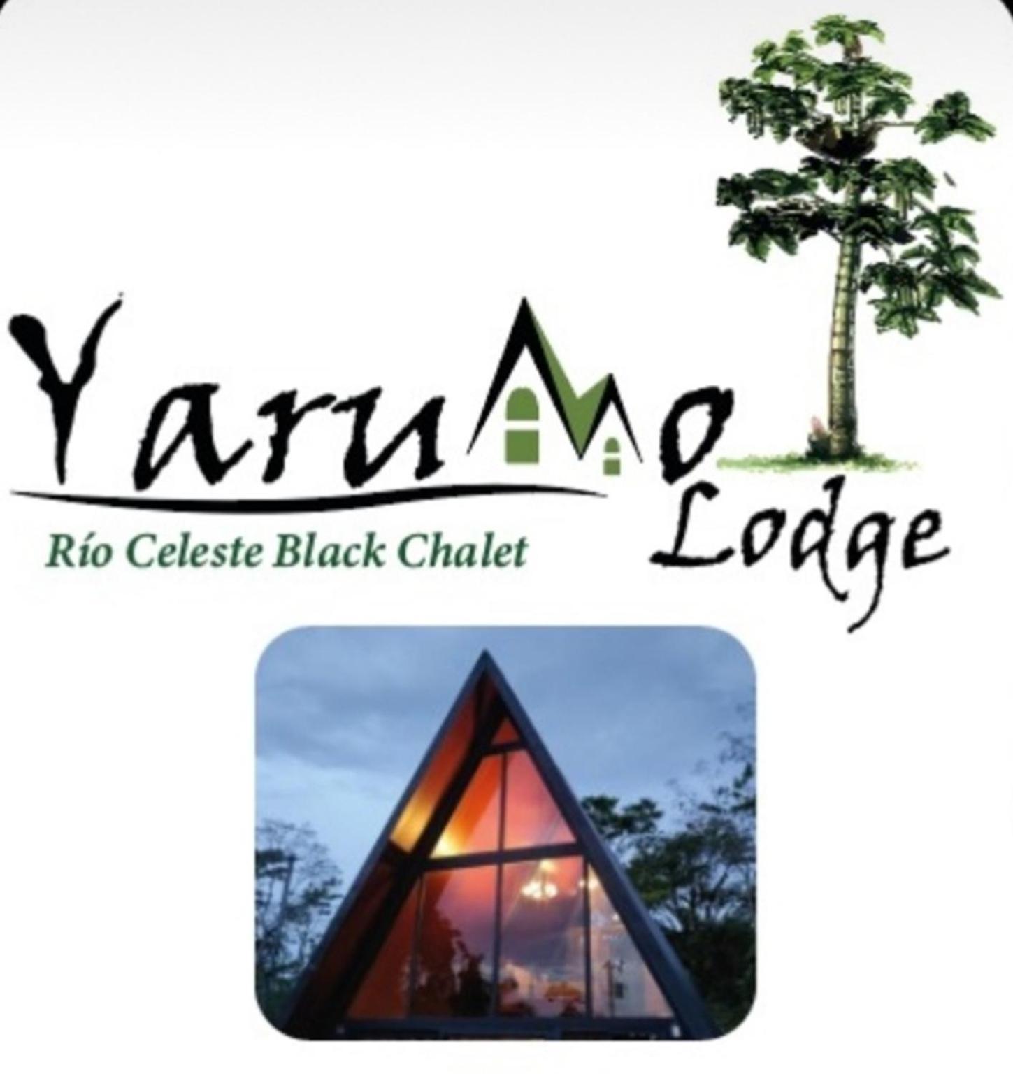 Yarumo Lodge, Rio Celeste Black Chalets Bijagua de Upala Exterior foto